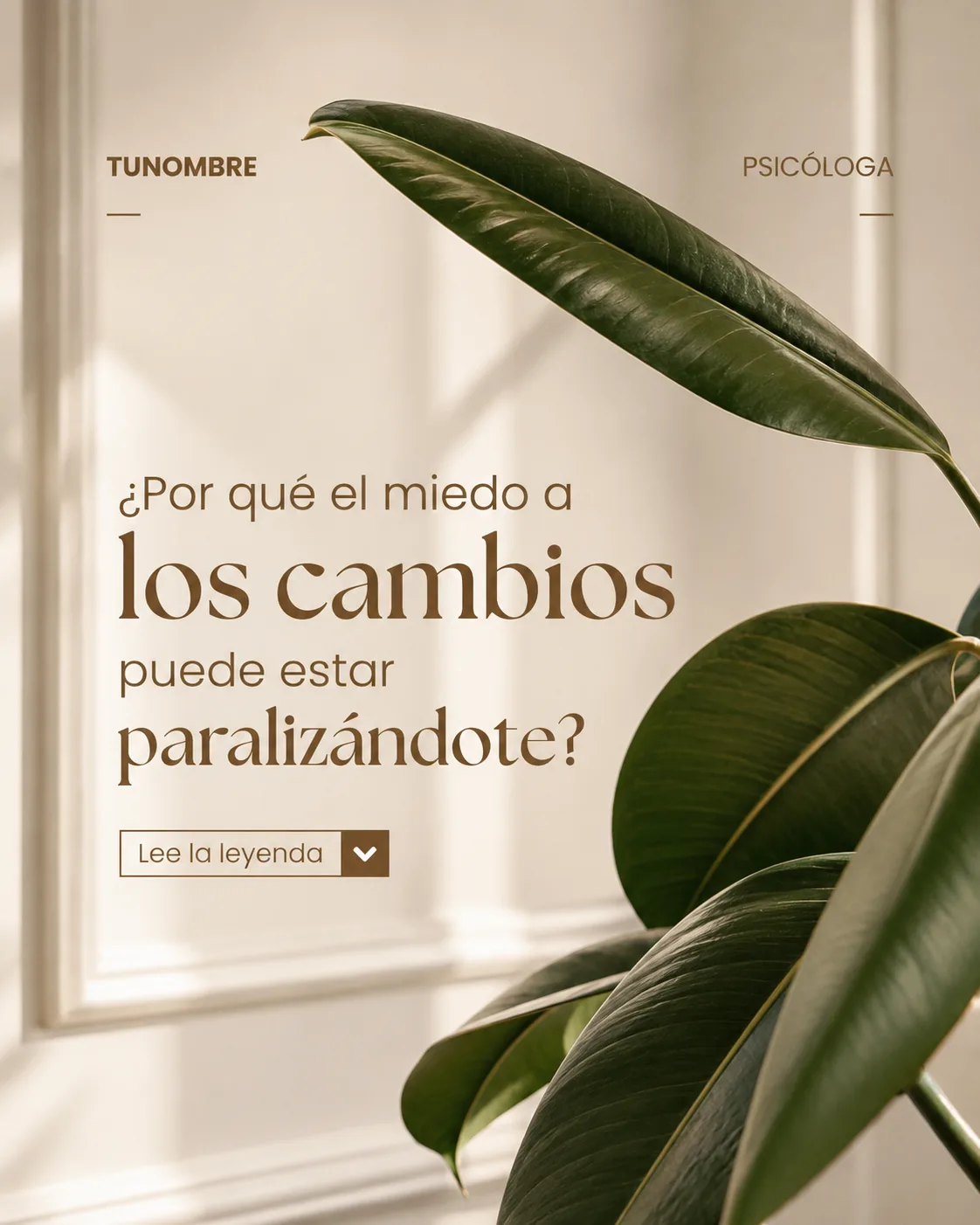 Publicaciones de autocuidado y salud mental